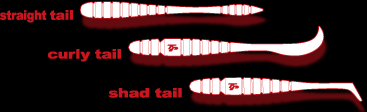 straight tail:curly tail:shad tail